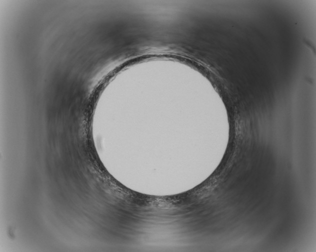 X0000103471311200810241004
