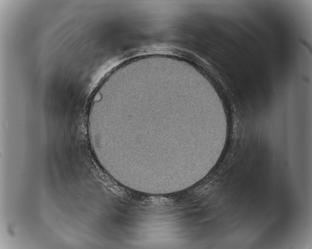 X0000103471312200810241004