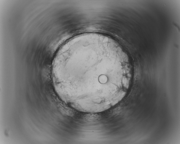 X0000103471314200810241004