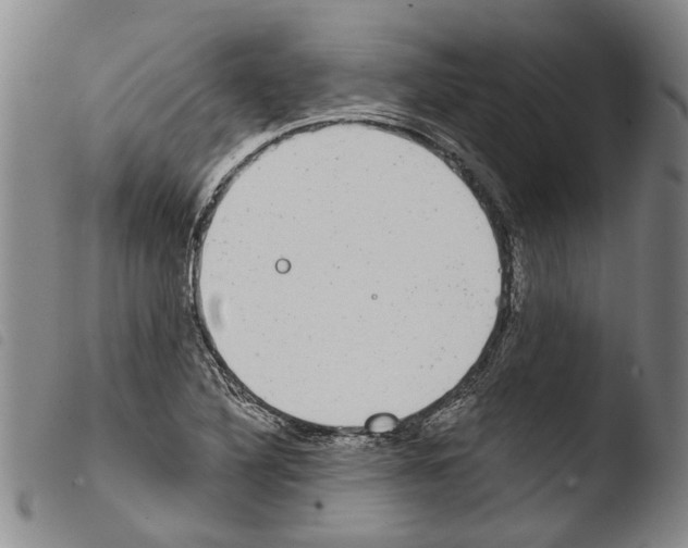 X0000103471316200810241004
