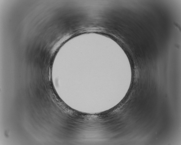 X0000103471317200810241004