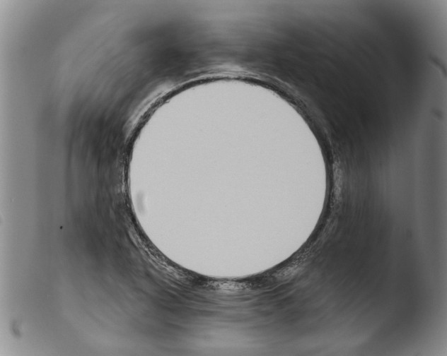 X0000103471318200810241004