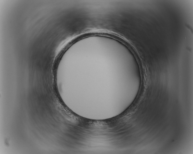 X0000103471319200810241004