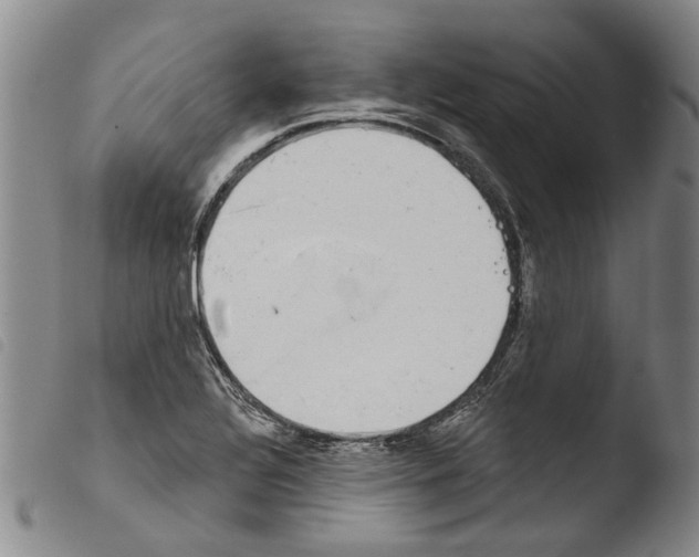 X0000103471320200810241004