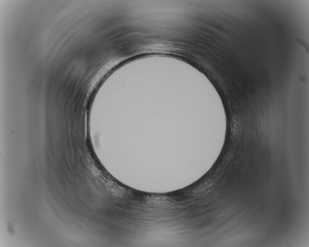 X0000103471323200810241004