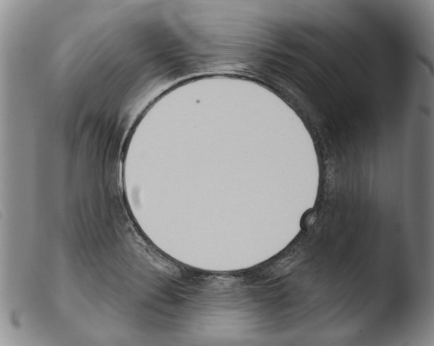 X0000103471324200810241004