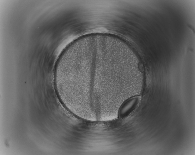 X0000103471326200810241004