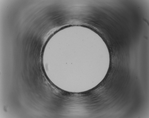 X0000103471327200810241004