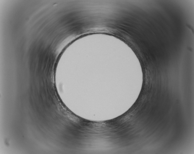 X0000103471328200810241004