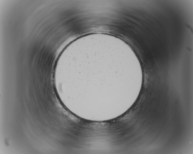 X0000103471331200810241004