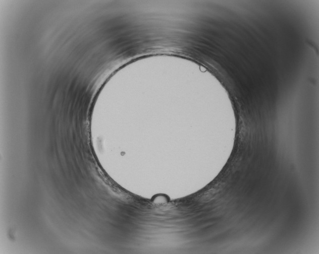 X0000103471332200810241004