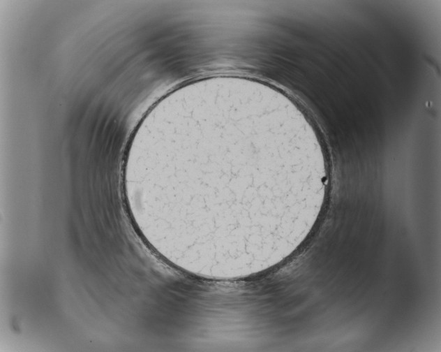 X0000103471333200810241004