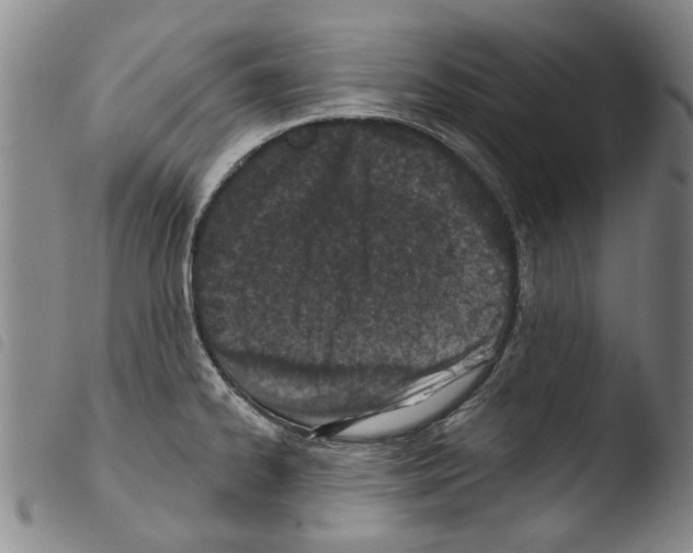 X0000103471334200810241004