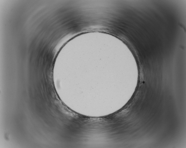 X0000103471336200810241004