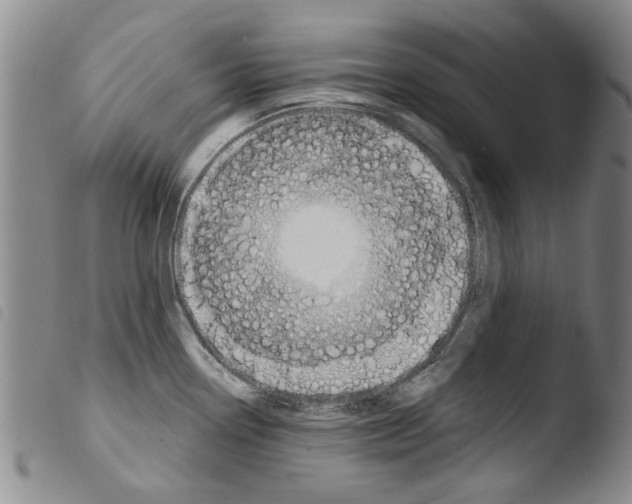 X0000103471338200810241004