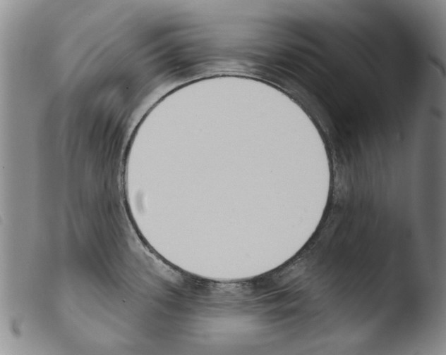 X0000103471339200810241004