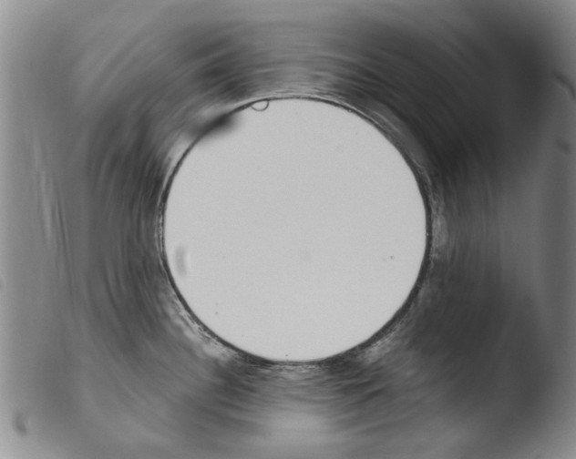 X0000103471340200810241004