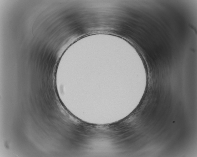 X0000103471341200810241004