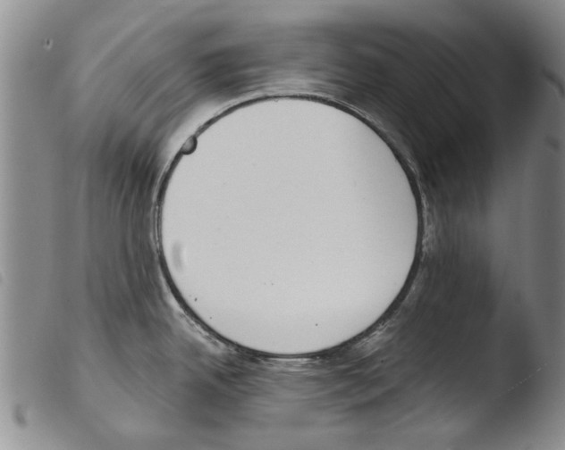 X0000103471342200810241004