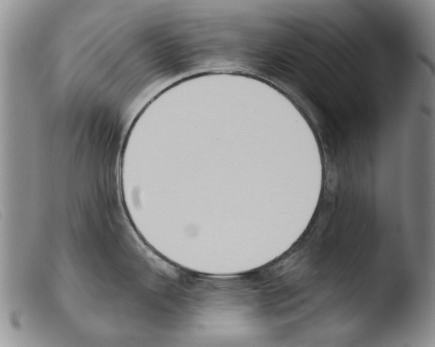 X0000103471343200810241004