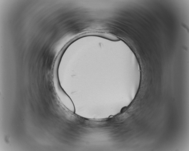 X0000103471344200810241004