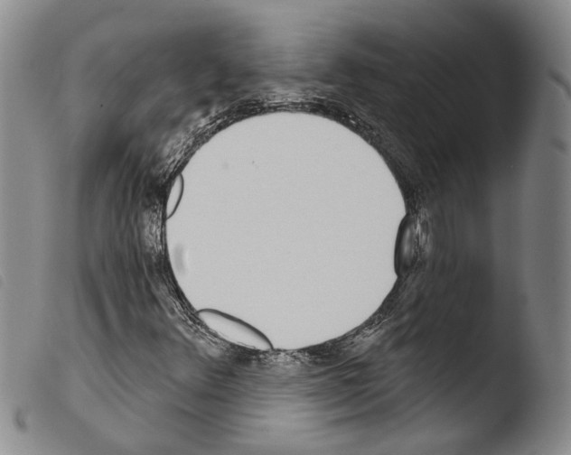 X0000103471348200810241004