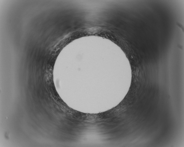 X0000103471349200810241004
