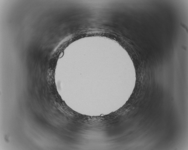 X0000103471351200810241004