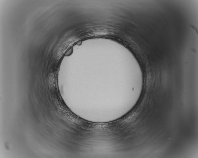 X0000103471353200810241004