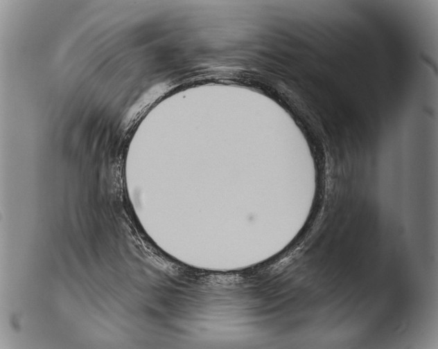 X0000103471354200810241004