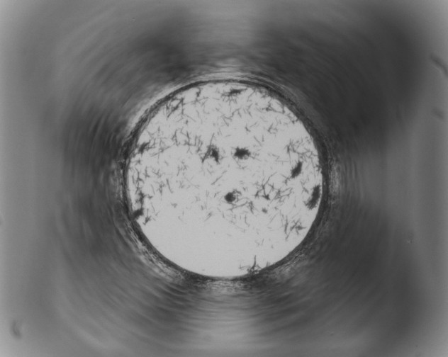 X0000103471356200810241004