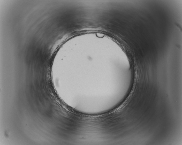 X0000103471357200810241004