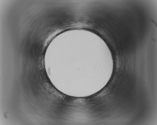 X0000103471358200810241004