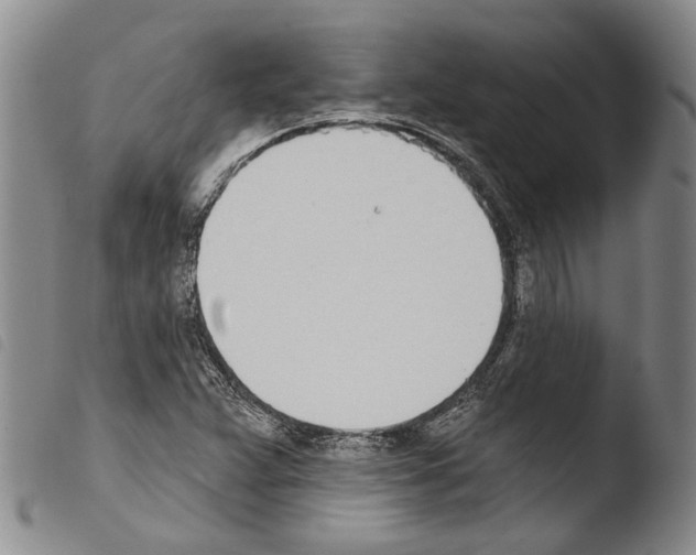 X0000103471359200810241003