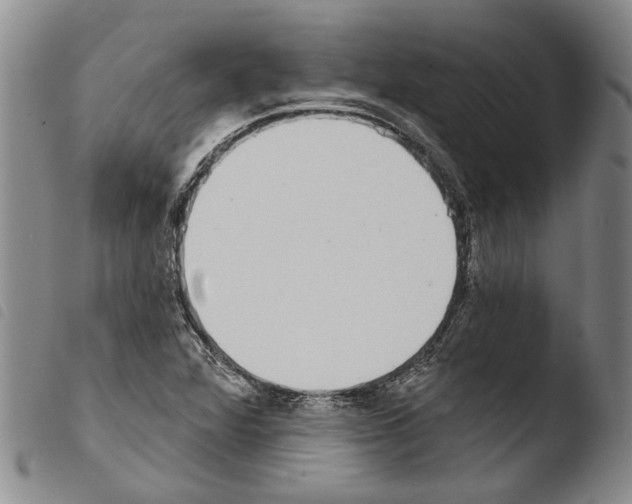 X0000103471360200810241003