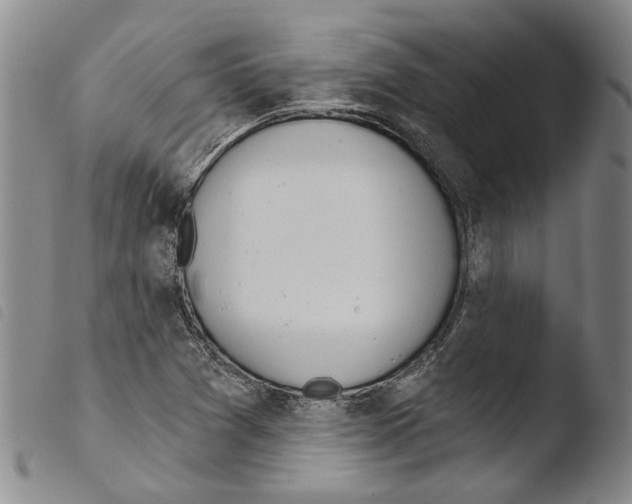 X0000103471361200810241003