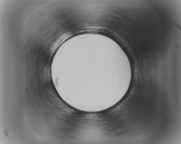 X0000103471362200810241003