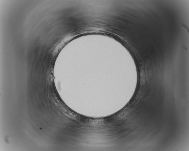 X0000103471363200810241003