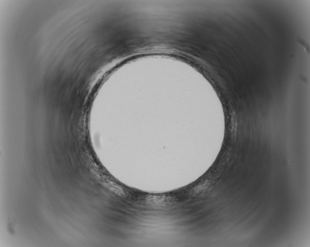 X0000103471364200810241003