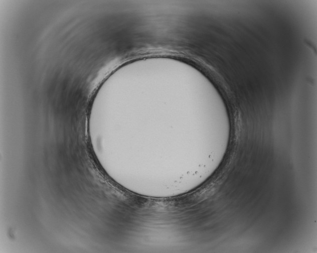 X0000103471365200810241003