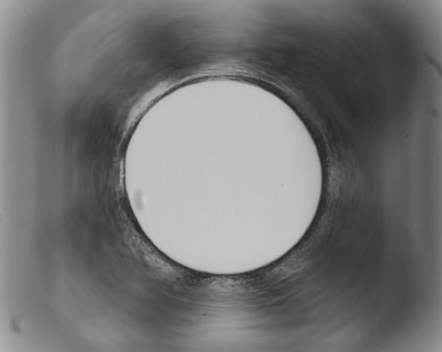 X0000103471366200810241003