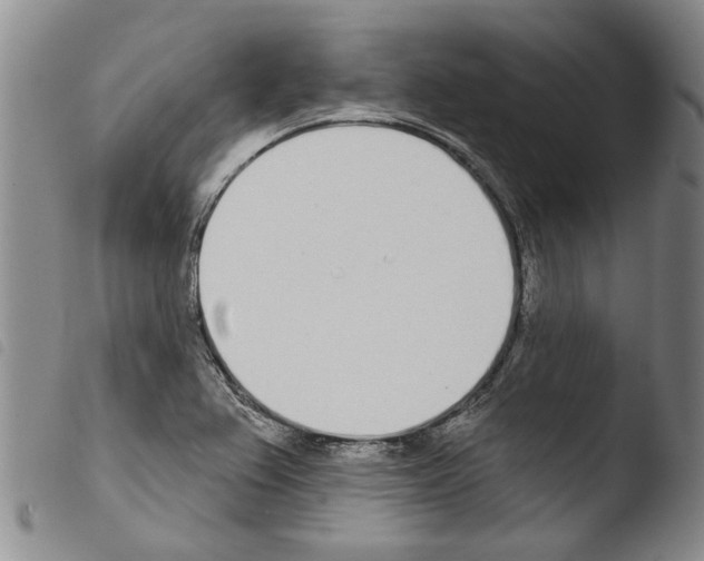 X0000103471367200810241003