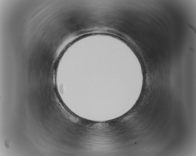 X0000103471368200810241003