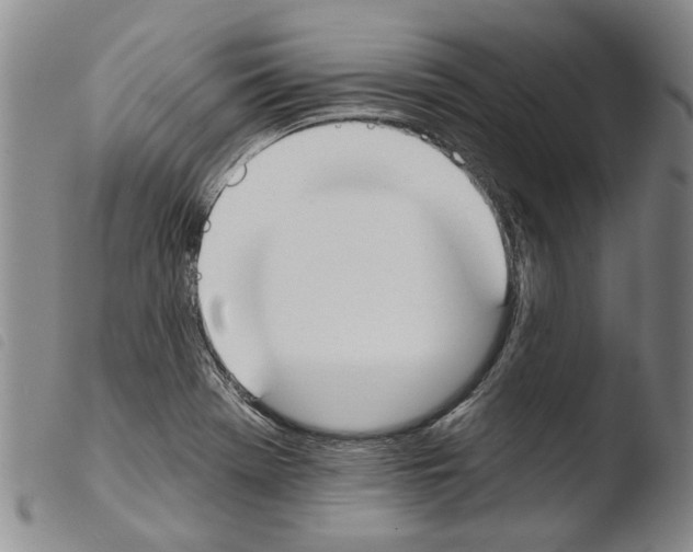 X0000103471369200810241003