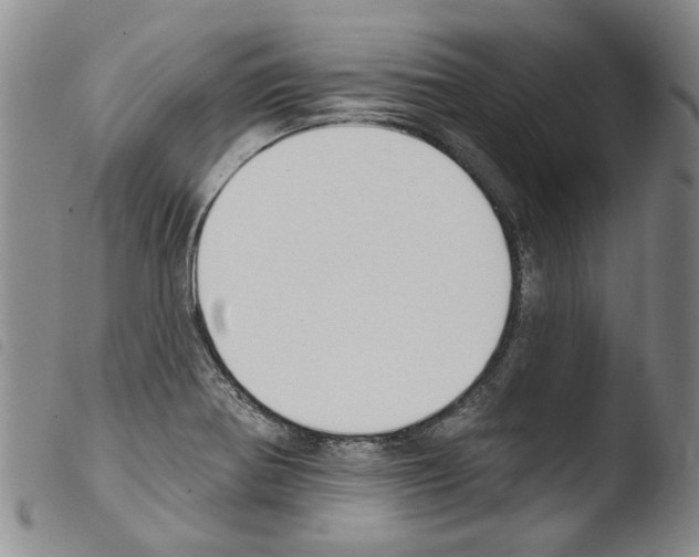 X0000103471370200810241003