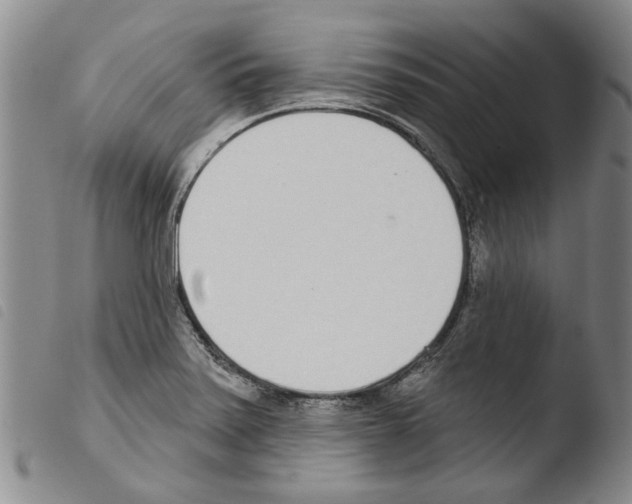 X0000103471371200810241003