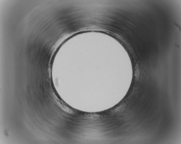 X0000103471372200810241003