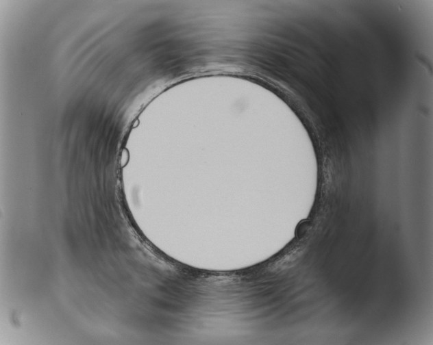 X0000103471373200810241003