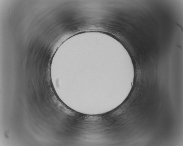 X0000103471374200810241003