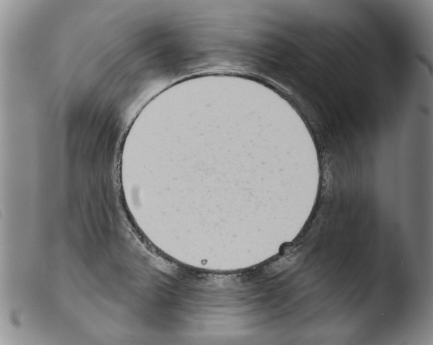 X0000103471375200810241003